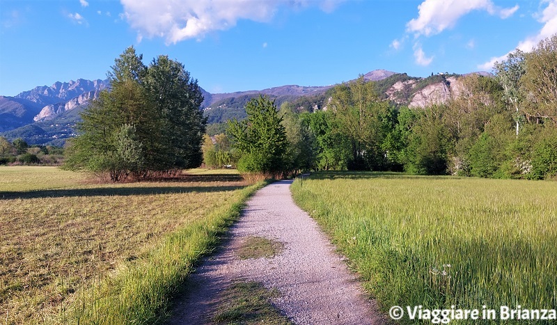 Passeggiata sull'Adda ad Airuno