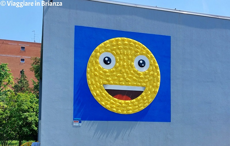 Cosa fare a Seregno, Urban Emoji