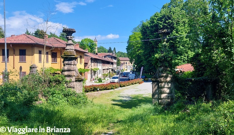 Cosa fare a Triuggio, il viale prospettico per Villa Taverna