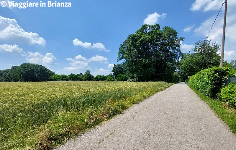 Albiate, la ciclopedonale del Lambro