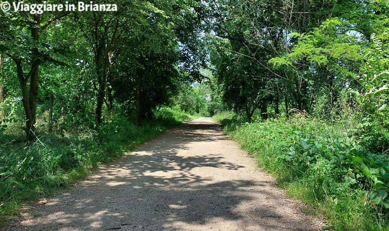 La ciclopedonale del fiume Lambro