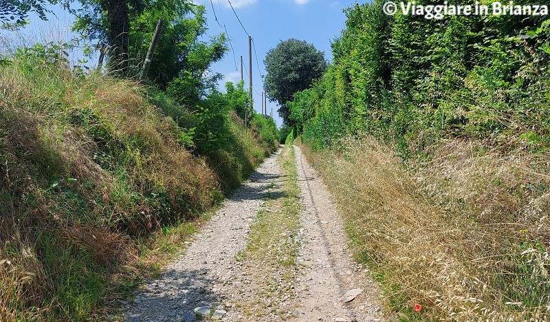 La ciclopedonale del Lambro a Biassono