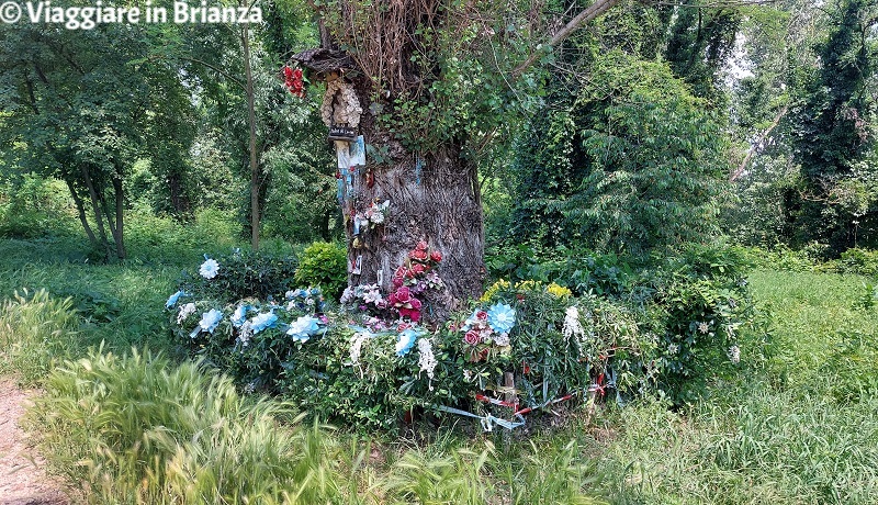 Ciclopedonale del Lambro, la Madona del Lambar