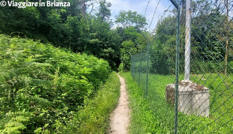 Giussano, passeggiata sul Lambro