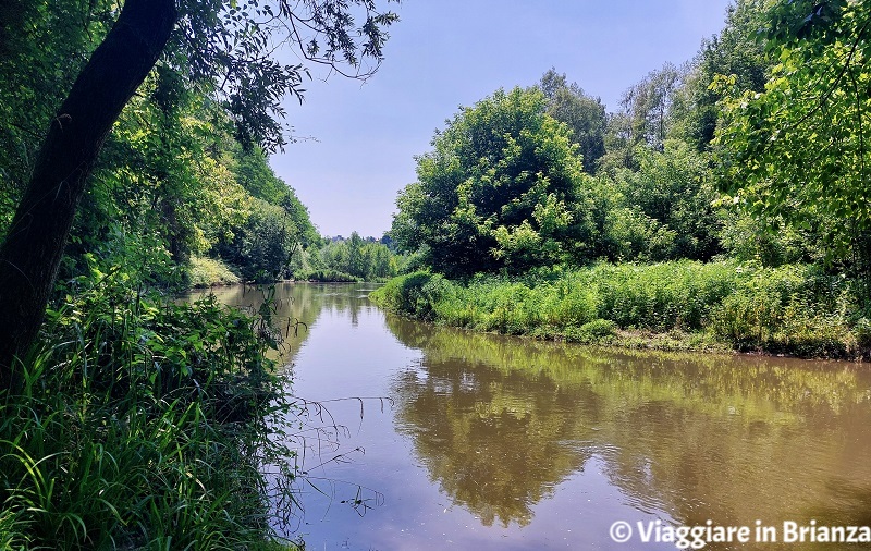 Il Gorgone del Lambro