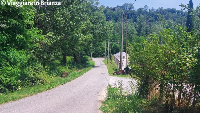 Passeggiata sul Lambro a Verano Brianza