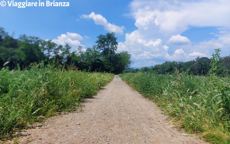 Pista ciclabile sul Lambro