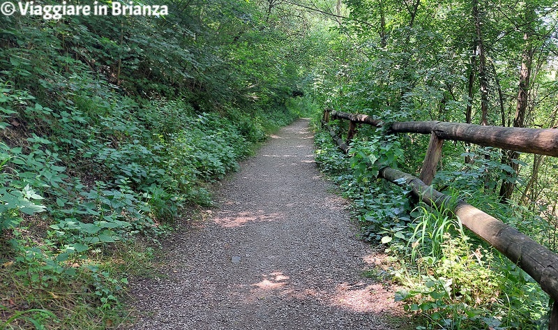 Sentiero ciclopedonale sul fiume Lambro