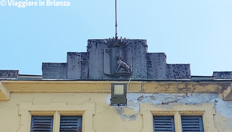 Il cane nello stemma della famiglia Taverna