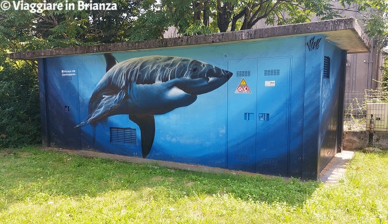 Il murales dello squalo di Cermenate