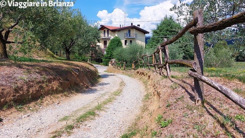 Passeggiate in Brianza nel Parco del Curone