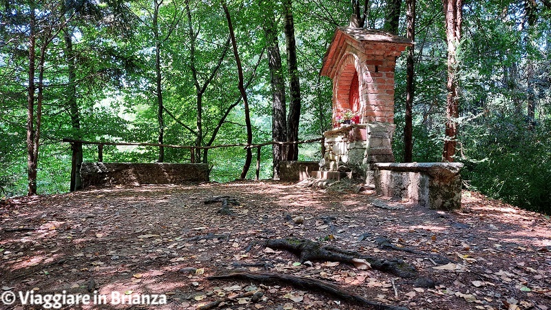 Posti da vedere in Brianza, il Bosco di San Francesco a Cabiate