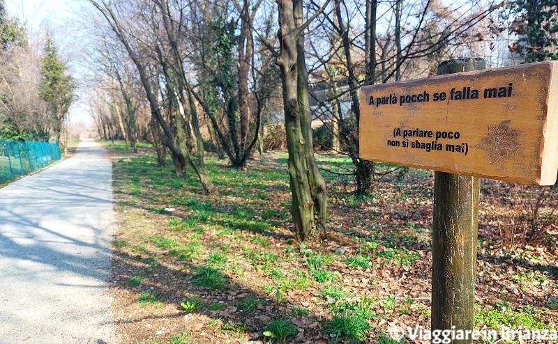 Cosa fare a Besana in Brianza, il Viale dei Proverbi