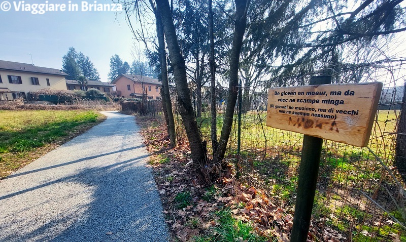 Il Viale dei Proverbi di Besana in Brianza