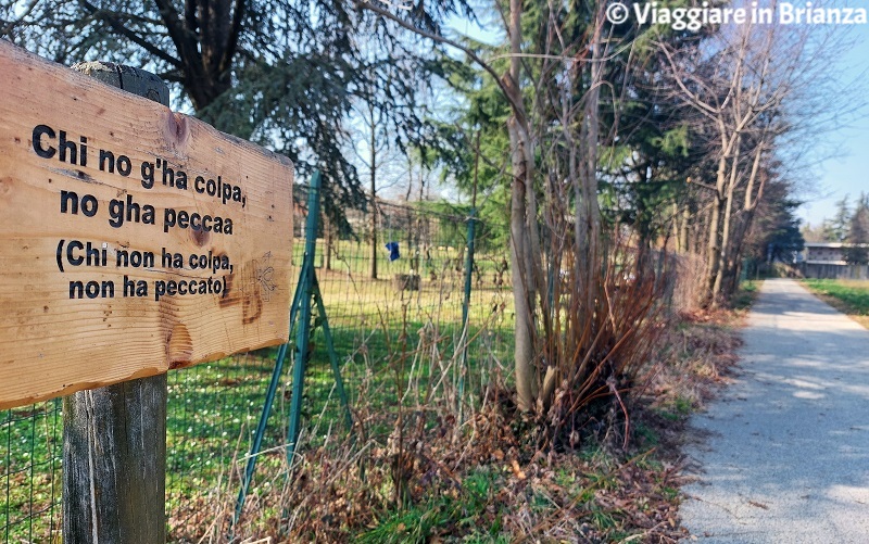 Il Viale dei Proverbi di Besana