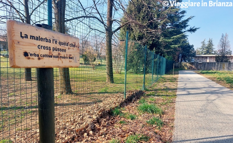 Il Viale dei Proverbi di Villa Raverio